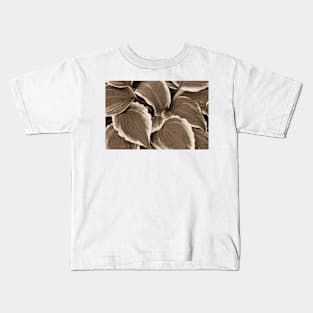 Hosta Leaves In The Rain 4 Kids T-Shirt